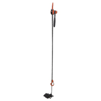 Mini palan &agrave; levier, Lev&eacute;e 20', Cabacit&eacute; 1000 lb (0,5 tonne), Chaîne en Acier OSI Industrial Sales