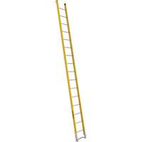 Single Section Straight Ladder - 6100 Series, 16', Fibreglass, 375 lbs., CSA Grade 1AA OSI Industrial Sales
