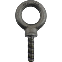 Alloy Steel Eye Bolt, 1" Dia., 1-1/4" L, 1480 lbs. (0.74 tons)/1480 lbs. Capacity OSI Industrial Sales