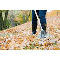 Pro Fan Rake, 24" Blade, 22 Tines, Hardwood Handle, Steel Blade OSI Industrial Sales