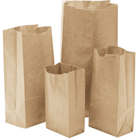 Paper Bags, Paper, 5-1/4" W x 10-1/2" L OSI Industrial Sales