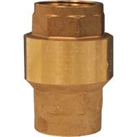 Spring-Loaded Check Valve OSI Industrial Sales
