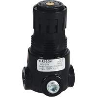 R&eacute;gulateur miniature R03 Wilkerson, 1/8" NPT, PSI max. de 300 psi, Standard OSI Industrial Sales