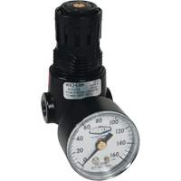 R&eacute;gulateur miniature R04 Wilkerson, 1/4" NPT, PSI max. de 300 psi, Standard OSI Industrial Sales