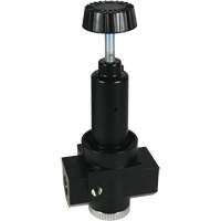 R&eacute;gulateur &agrave; d&eacute;bit &eacute;lev&eacute; R30 Wilkerson, 3/4" NPT, PSI max. de 300 psi, Standard OSI Industrial Sales