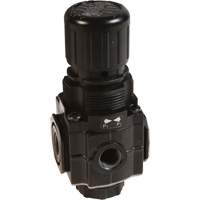 Collecteur de r&eacute;gulateur de s&eacute;rie 1, 1/4" NPT, PSI max. de 150 psi, Standard OSI Industrial Sales