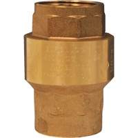 Horizontal Swing Check Valve OSI Industrial Sales