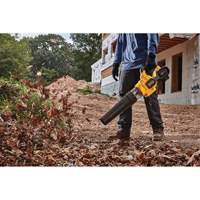 Flexvolt&reg; Brushless Handheld Axial Blower, 60 V, 125 MPH Output, Battery Powered OSI Industrial Sales