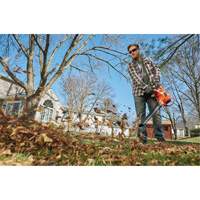 3-in-1 VacPack Leaf Blower/Vacuum/Mulcher, 250 MPH Output, Electric OSI Industrial Sales