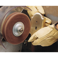 Scotch-Brite High Strength Discs (Aluminum Oxide), 6" Dia., Very Fine Grit, Aluminum Oxide OSI Industrial Sales