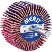 Shank Mounted Mini Flap Wheel, Ceramic Alumina, 40 Grit, 2" x 1" x 1/4" OSI Industrial Sales