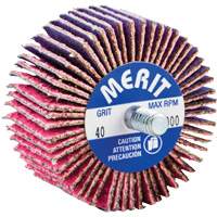 Threaded Mini Flap Wheel, Ceramic Alumina, 40 Grit, 2" x 1" x 1/4"-20 OSI Industrial Sales