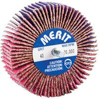 Threaded Mini Flap Wheel, Ceramic Alumina, 40 Grit, 3" x 1" x 1/4"-20 OSI Industrial Sales