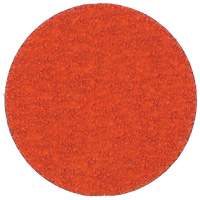 Coated Abrasives
