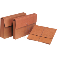 Chemises de classement extensibles