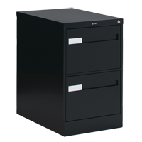 Vertical Filing Cabinet with Recessed Drawer Handles, 2 Drawers, 18.15" W x 26.56" D x 29" H, Black OSI Industrial Sales