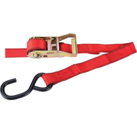 Ratchet Tie Downs