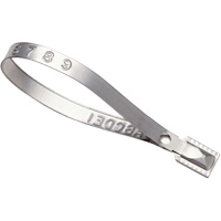 Scell&eacute;s Guard Lock, 8-3/8", M&eacute;tal, Scell&eacute; pour camion OSI Industrial Sales