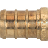 Capuchon de tuyau sans plomb, Tuyau, 1/2" dia., Laiton OSI Industrial Sales