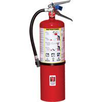 Extincteur d'incendie, ABC, Capacit&eacute; 10 lb OSI Industrial Sales