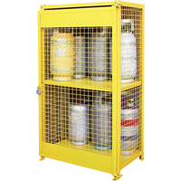Gas Cylinder Cabinets, 12 Cylinder Capacity, 44" W x 30" D x 74" H, Yellow OSI Industrial Sales