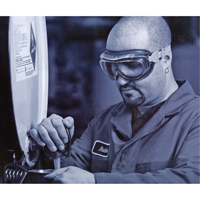 Uvex&reg; Flex Seal Safety Goggles, 3.0 Lens, Anti-Fog, Indirect Vent OSI Industrial Sales
