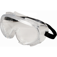 Encompass Safety Goggles, Clear Lens, Anti-Fog, Indirect Vent OSI Industrial Sales