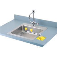 Poste de douche oculaire Swing-Away, Installation Montage sur comptoir OSI Industrial Sales