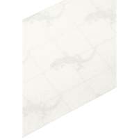Ruban antid&eacute;rapant de premi&egrave;re qualit&eacute;, 4" x 60', Transparent OSI Industrial Sales