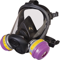 Respirateur &agrave; masque complet de s&eacute;rie RU6500 de North, Silicone, Petit OSI Industrial Sales