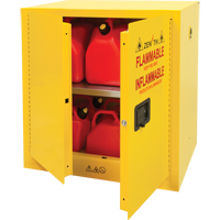 Armoire pour produits inflammables, 22 gal., 2 Porte(s), 35" La x 35" h x 22" p OSI Industrial Sales