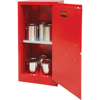 Armoire pour peintures et encres, 20 gal. OSI Industrial Sales