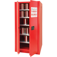 Armoire pour peintures et encres, 96 gal., 5 tablettes OSI Industrial Sales