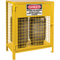 Gas Cylinder Cabinets, 2 Cylinder Capacity, 30" W x 17" D x 37" H, Yellow OSI Industrial Sales