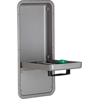 Eye/Face Wash Station, Wall-Mount Installation, Stainless Steel Bowl OSI Industrial Sales