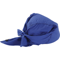 Foulards de refroidissement en triangle Chill-Its 6710CT, Bleu OSI Industrial Sales