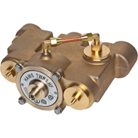 Vannes de m&eacute;lange thermostatique, 78 gal./min OSI Industrial Sales