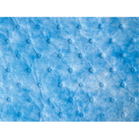 Balayage absorbant pour huile seulement OSI Industrial Sales