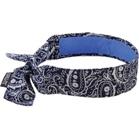 Foulards 6700CT de refroidissement en tissu de serviette Chill-Its, Bleu OSI Industrial Sales