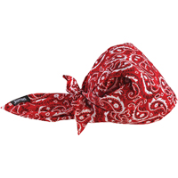 Bandeaux en triangle 6710CT de refroidissement en tissu de serviette Chill-Its, Rouge OSI Industrial Sales