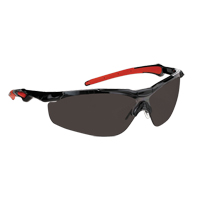 Dynamic Hawk Series Safety Glasses, Smoke Lens, Anti-Fog, ANSI Z87+/Meets/Exceeds CSA Z94.3 OSI Industrial Sales