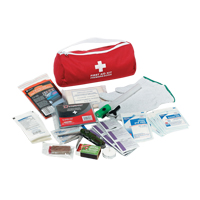 Trousse de premiers soins pour auto Dynamic, Dispositif m&eacute;dical Classe 1, Sac en nylon OSI Industrial Sales