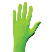 N-Dex&reg; Gloves, Small, Nitrile, 5-mil, Powder-Free, Green OSI Industrial Sales
