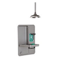 Eye/Face Wash and Shower, Ceiling-Mount OSI Industrial Sales