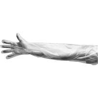 Gants jetables, Grand, Poly&eacute;thyl&egrave;ne, 9 mils, Poudr&eacute;s, Transparent OSI Industrial Sales