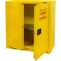 Armoire pour produits inflammables, 30 gal., 2 Porte(s), 43" La x 44" h x 18" p OSI Industrial Sales