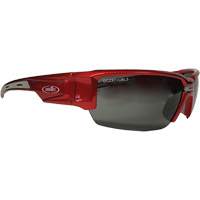 Hartley Safety Glasses, Grey Lens, Polarized, Meets/Exceeds CSA Z94.3 OSI Industrial Sales