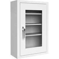 Lockable Medicine Cabinet with Plexiglas Door OSI Industrial Sales