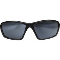 Lunettes de s&eacute;curit&eacute; Robson avec joint, Lentille Miroir argent&eacute;, Anti-&eacute;gratignures/Polaris&eacute;, ANSI Z87+/MCEPS GL-PD 10-12/R&eacute;pond ou surpasse la norme CSA Z94.3 OSI Industrial Sales