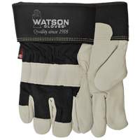 Gants Big Dawg, Petit, Paume en Cuir fleur de vache, Thinsulate OSI Industrial Sales
